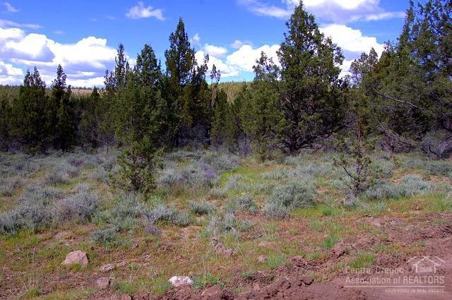 Ochoco Land + Livest - Land