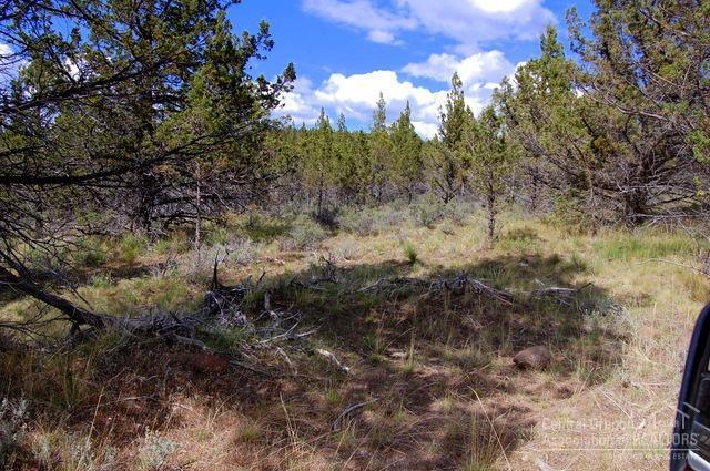 Ochoco Land + Livest - Land