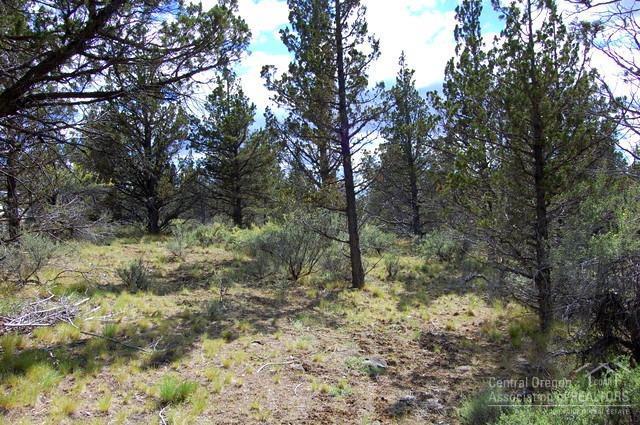 Ochoco Land + Livest - Land