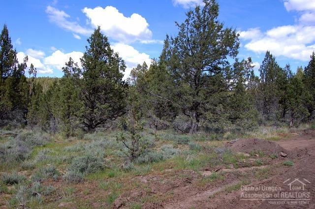 Ochoco Land + Livest - Land