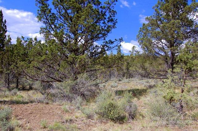 Ochoco Land + Livest - Land