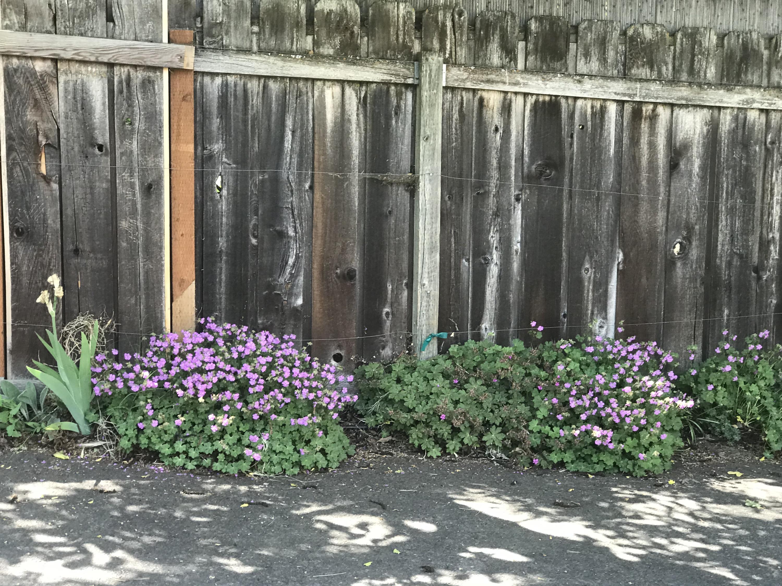 N/A - Residential Income