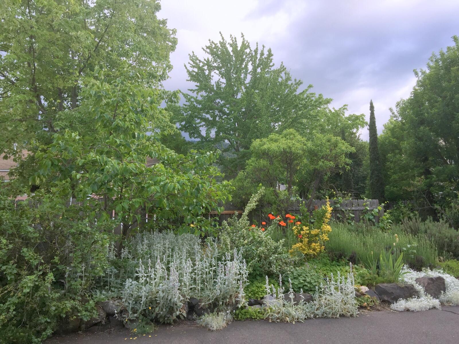 N/A - Residential Income