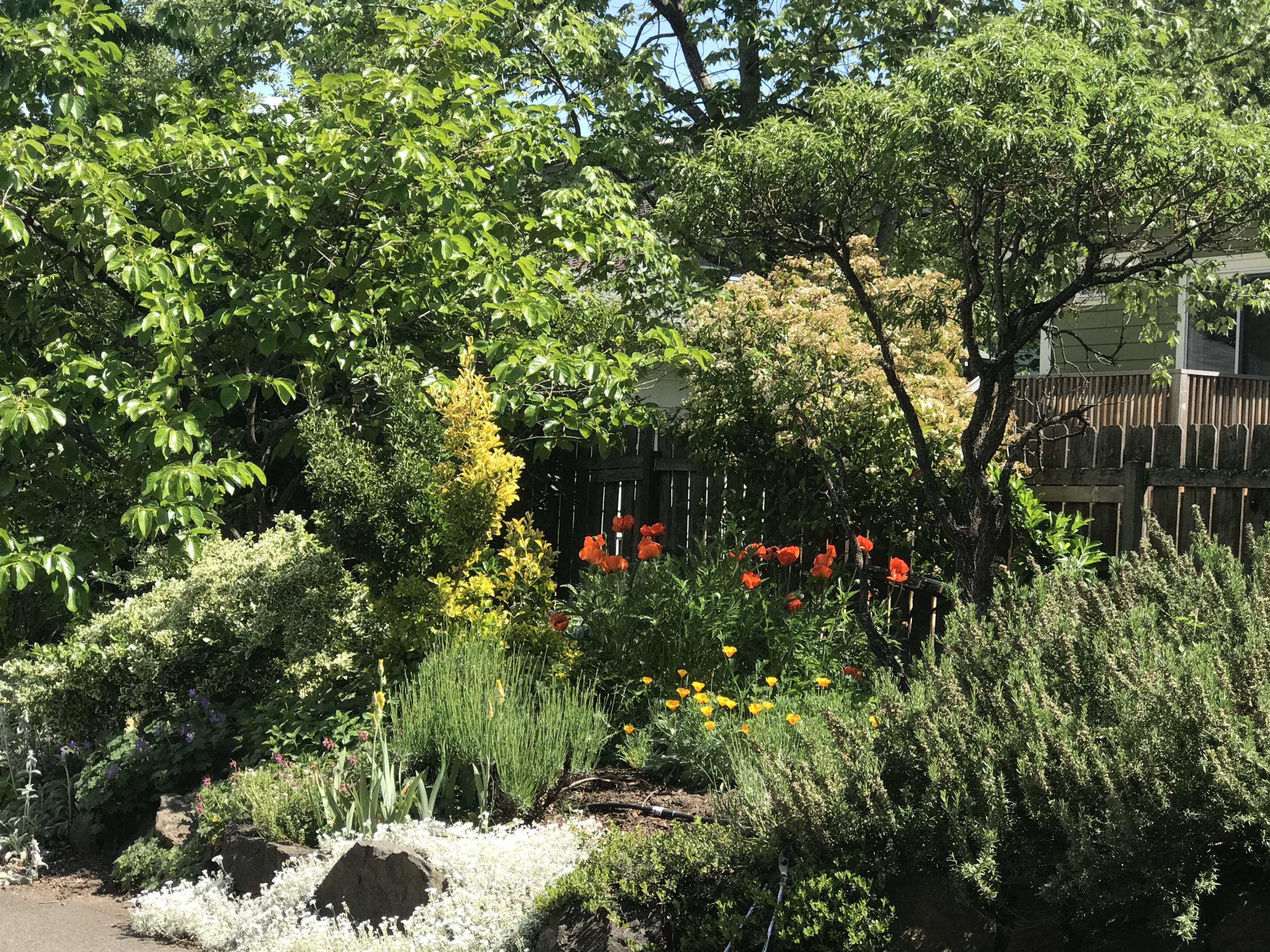 N/A - Residential Income