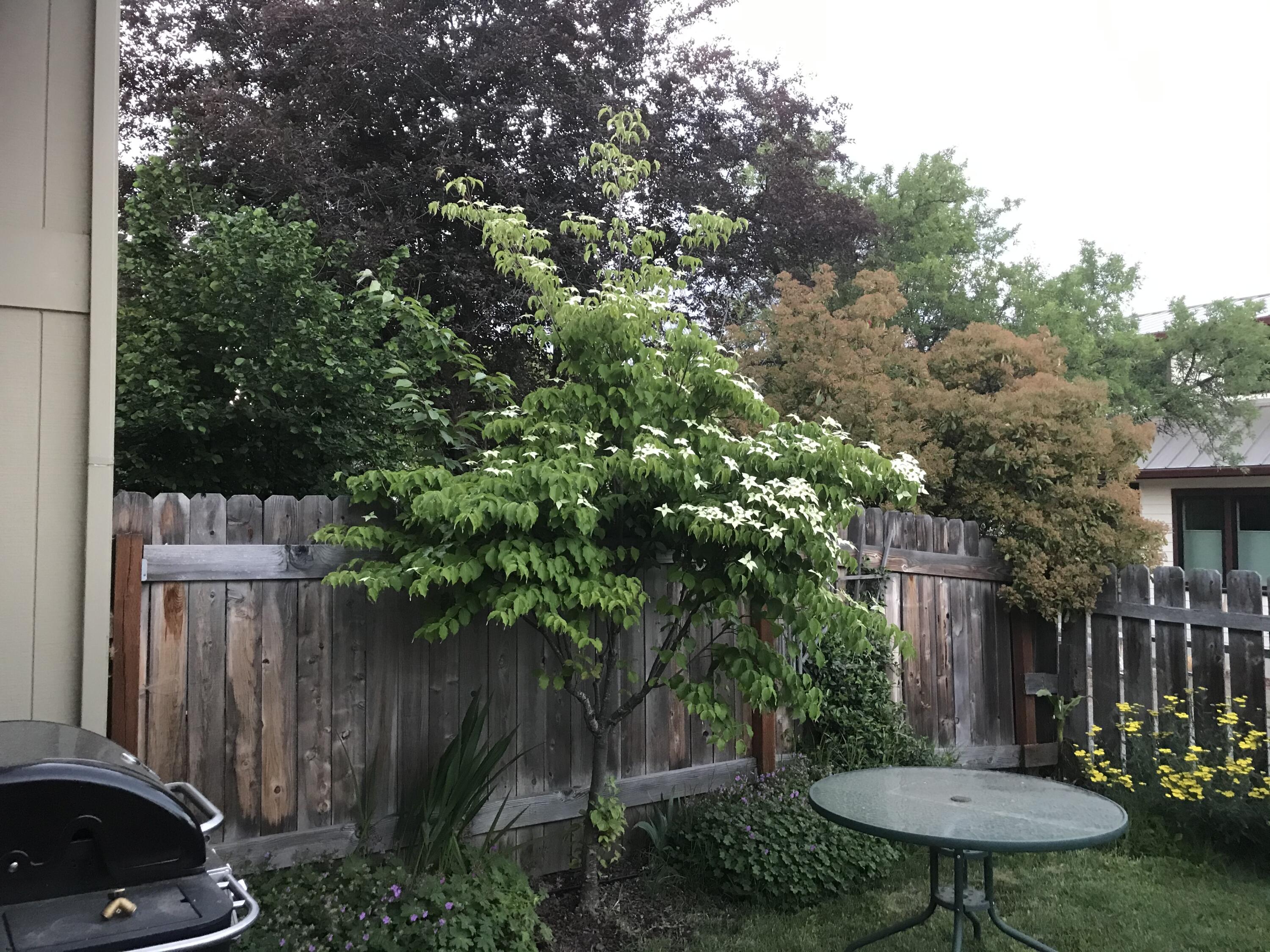 N/A - Residential Income