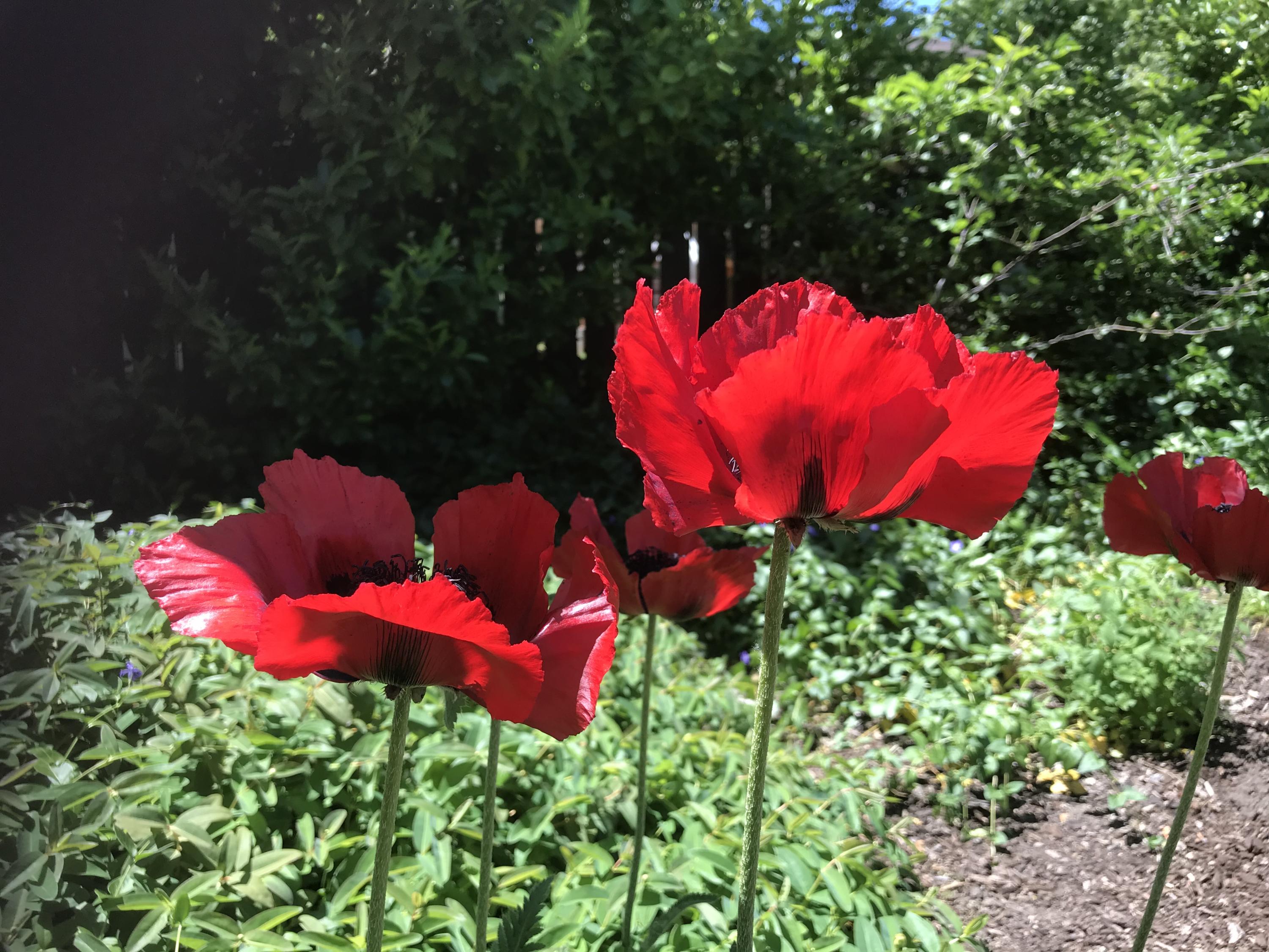 N/A - Residential Income