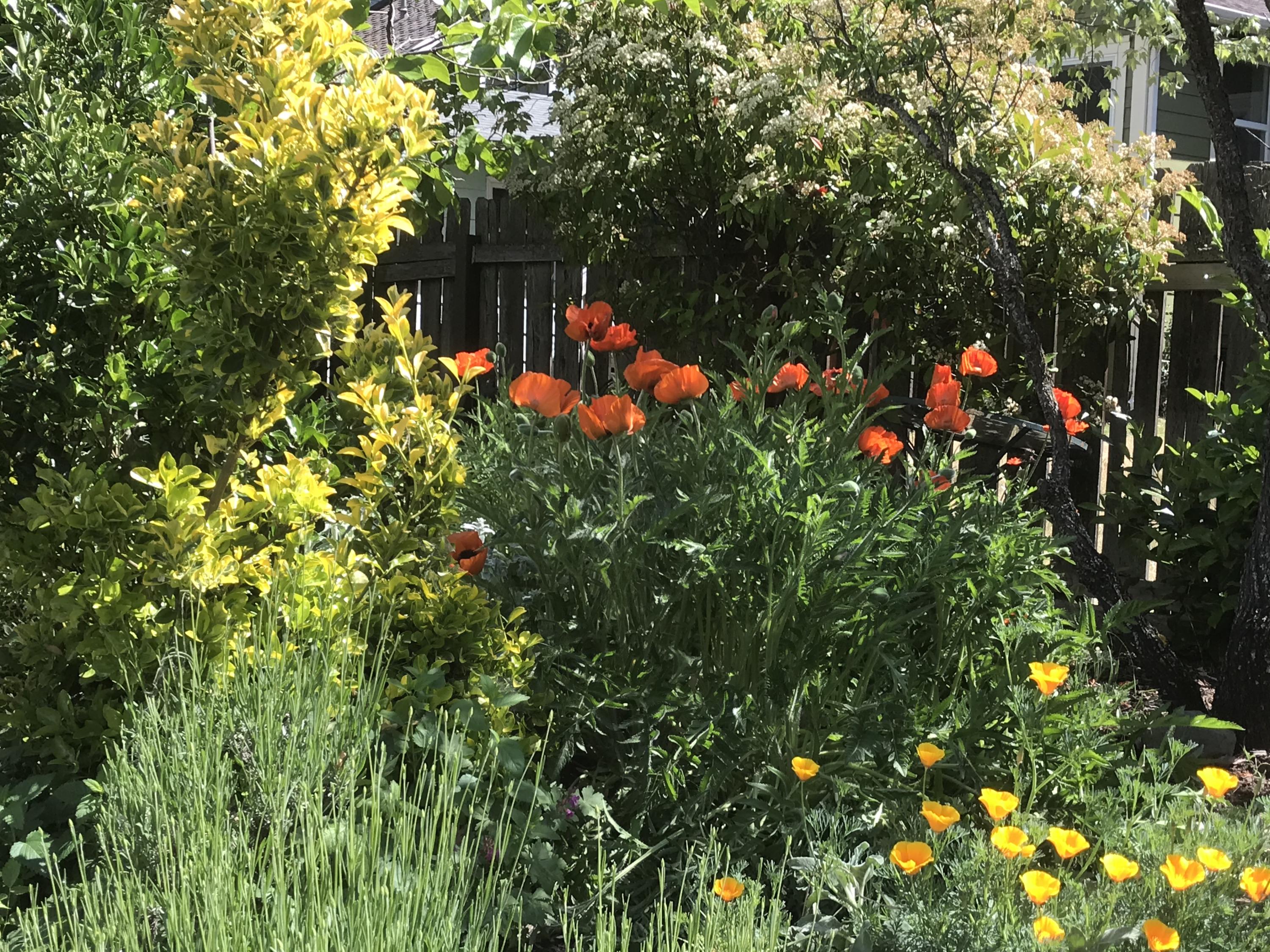 N/A - Residential Income