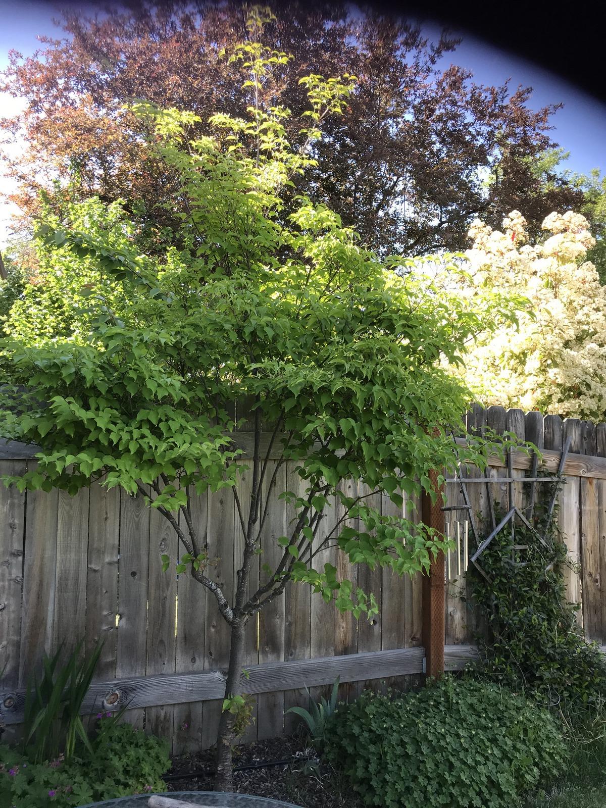 N/A - Residential Income