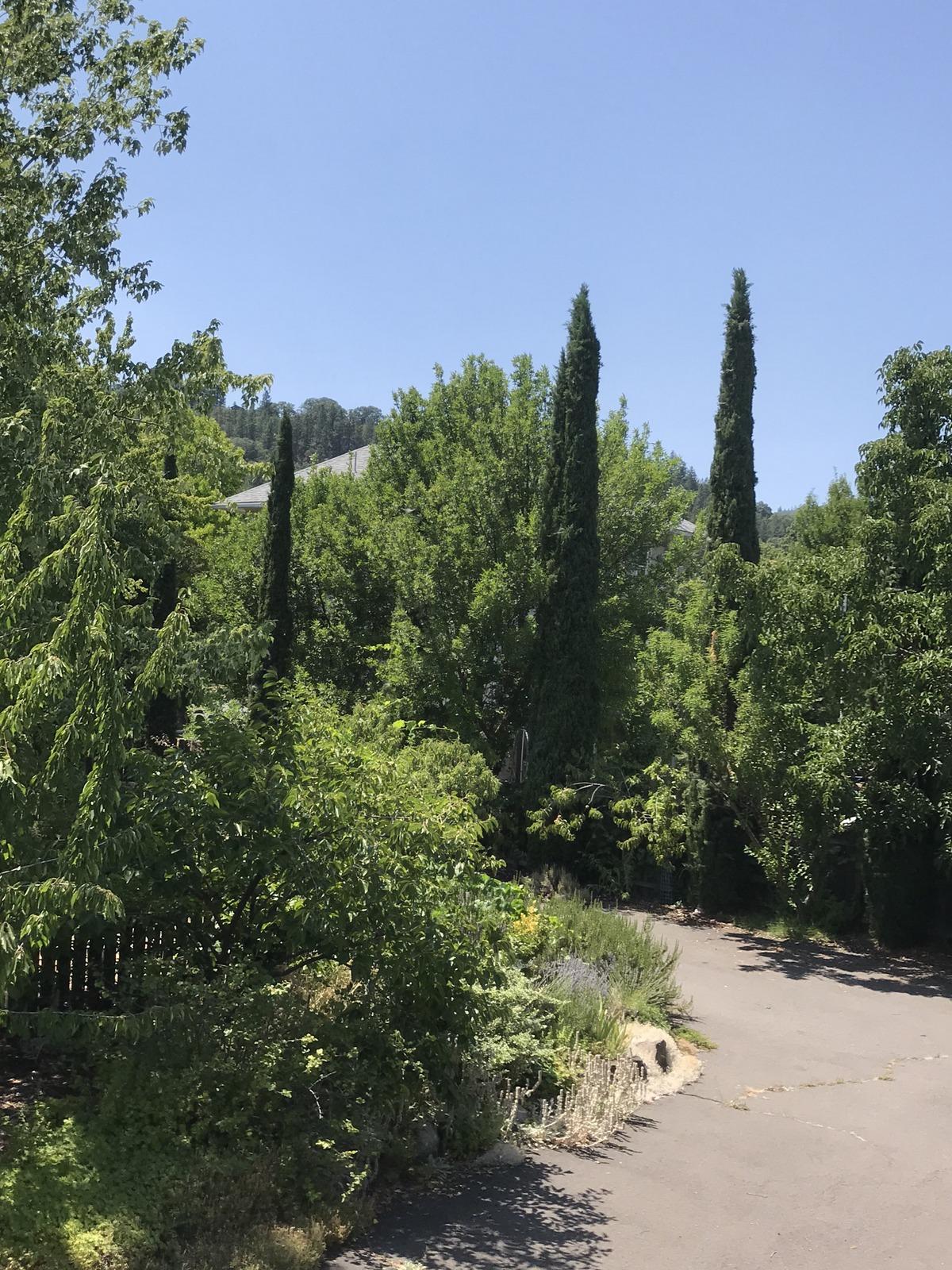 N/A - Residential Income