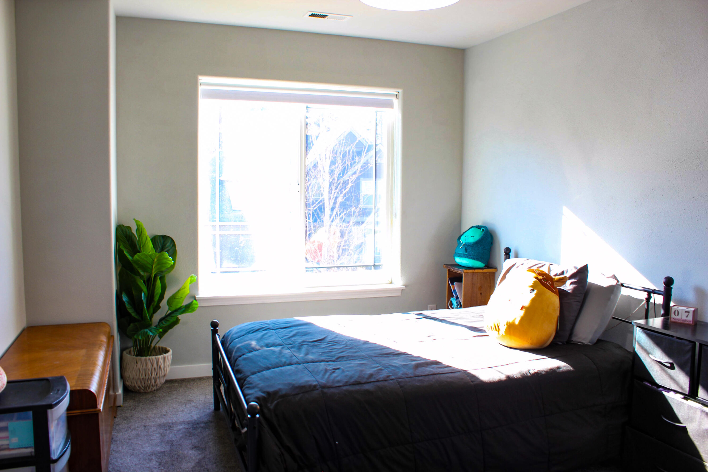 River Canyon Estates - Residential