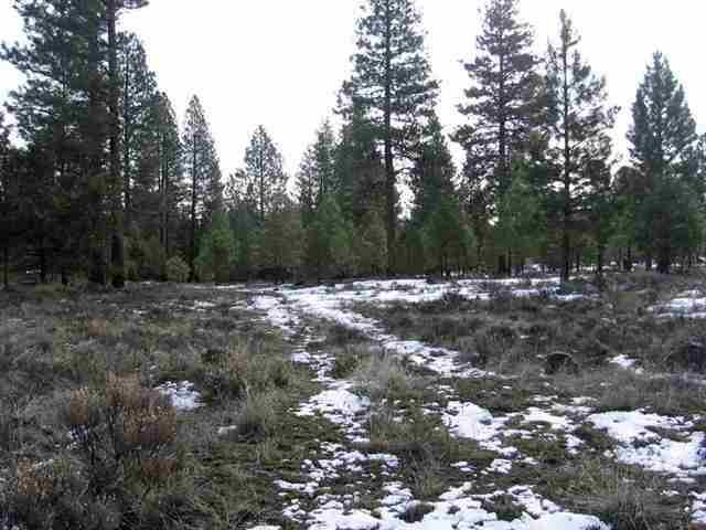 Misty Mountain - Land