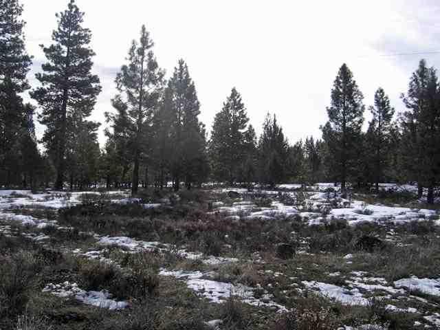 Misty Mountain - Land