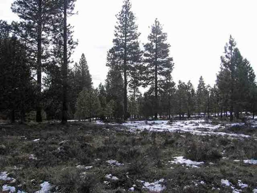 Newer, small subdivision in Keno!  All one acre lots and just off Hwy. 140.  Slight slope provides perfect drainage.  Not many lots in Keno so here's your chance! This is the perfect place to build your dream home!