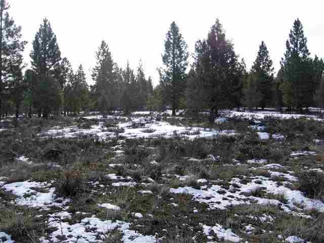 Misty Mountain - Land