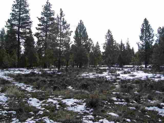 Misty Mountain - Land