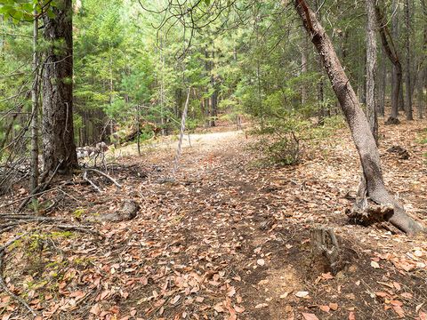 Tiny photo for 614 Thornbrook Drive, Merlin, OR 97532 (MLS # 220212207)