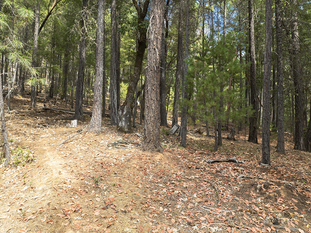 Thornbrook Subdivision - Land