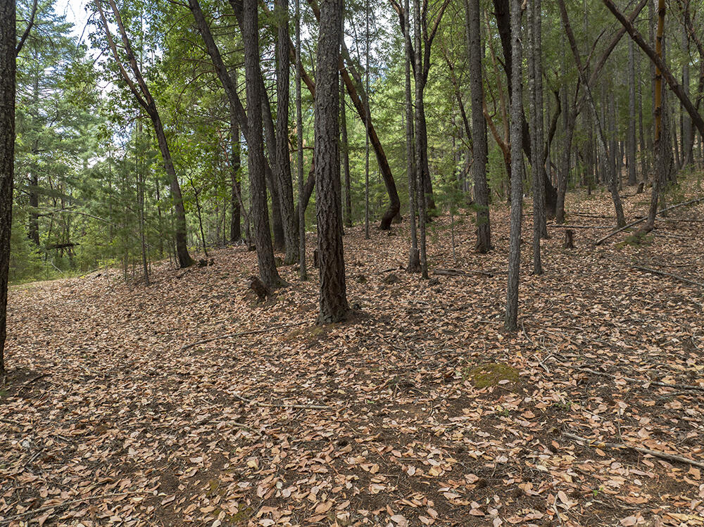 Thornbrook Subdivision - Land