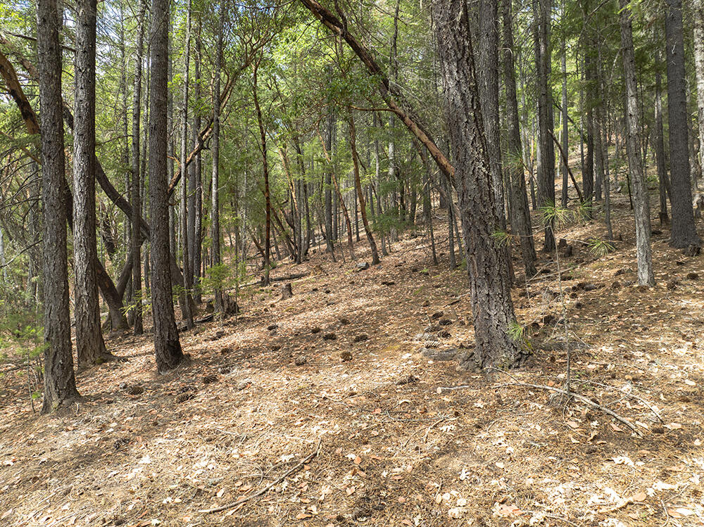 Thornbrook Subdivision - Land