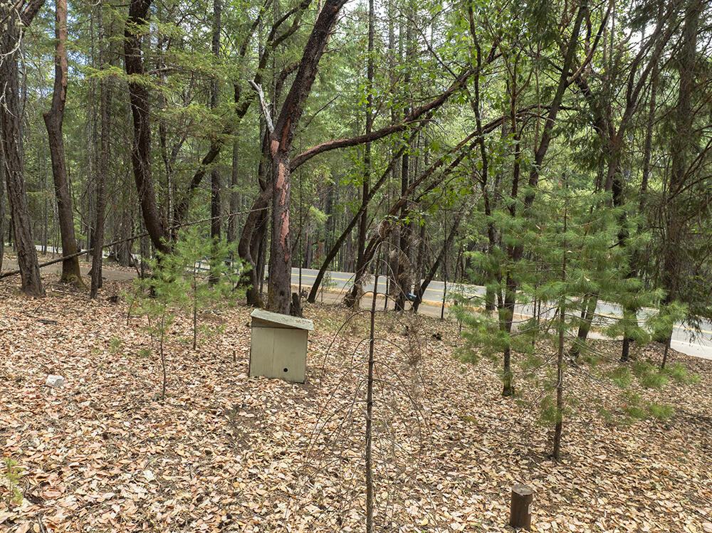 Thornbrook Subdivision - Land