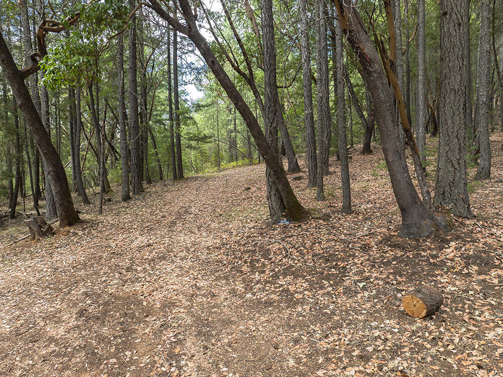 Thornbrook Subdivision - Land