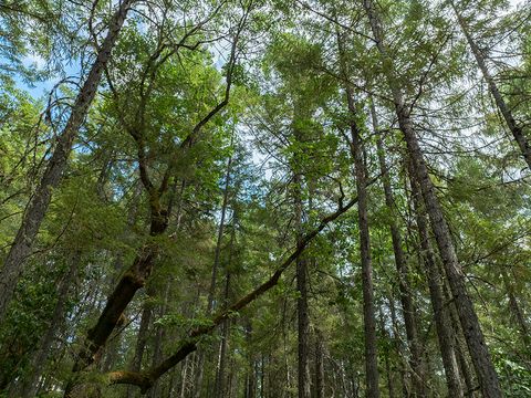 Tiny photo for 614 Thornbrook Drive, Merlin, OR 97532 (MLS # 220212207)