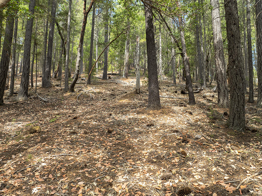 Thornbrook Subdivision - Land