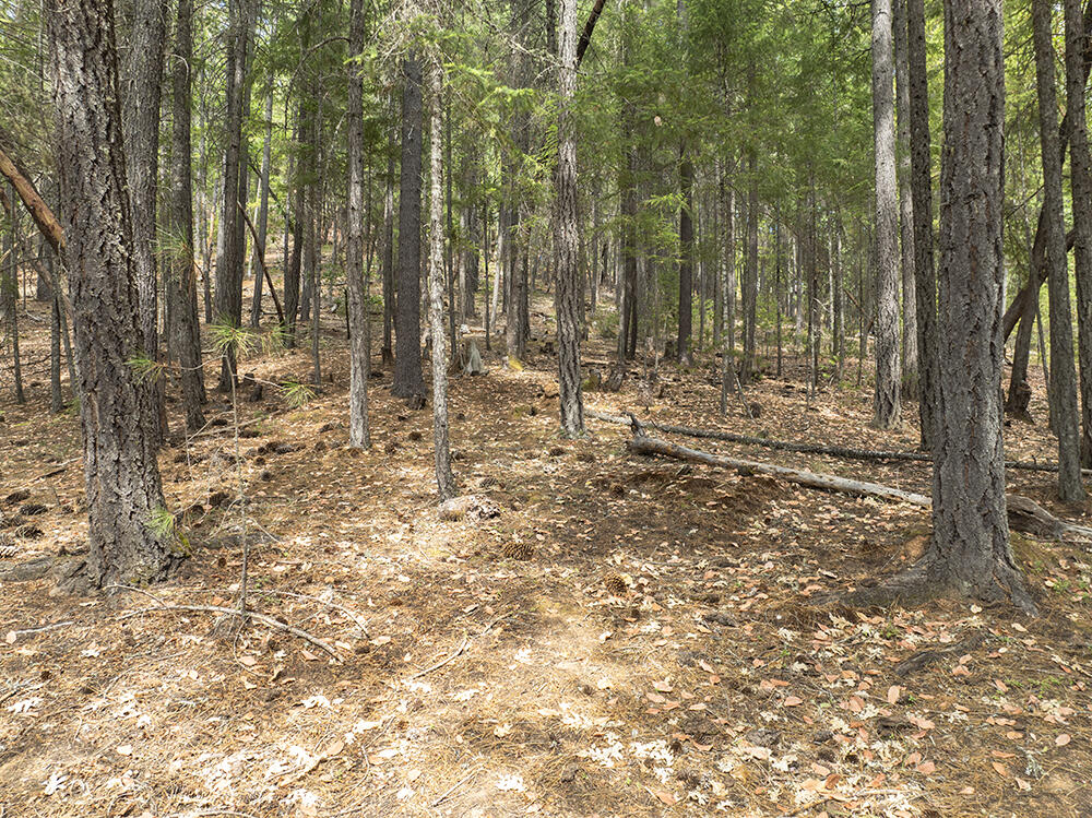 Thornbrook Subdivision - Land