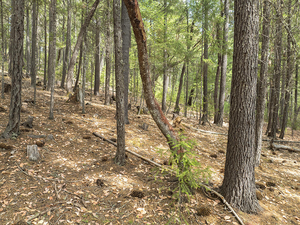 Thornbrook Subdivision - Land