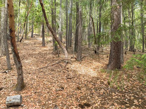 Tiny photo for 614 Thornbrook Drive, Merlin, OR 97532 (MLS # 220212207)