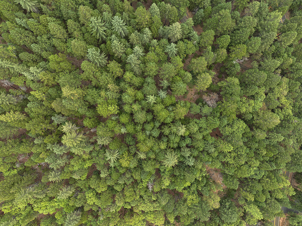 Thornbrook Subdivision - Land