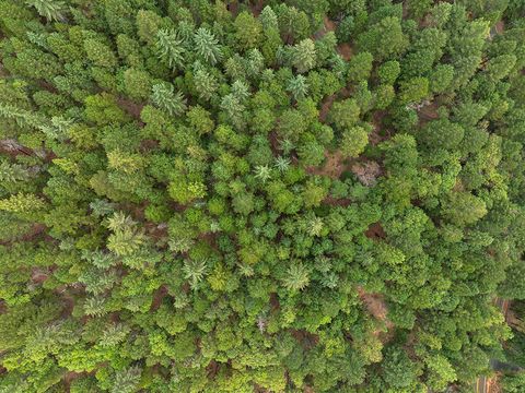 Tiny photo for 614 Thornbrook Drive, Merlin, OR 97532 (MLS # 220212207)