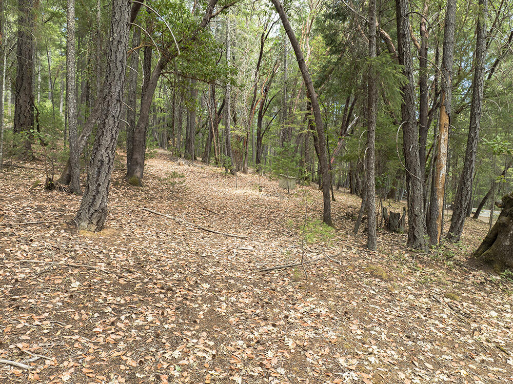 Thornbrook Subdivision - Land