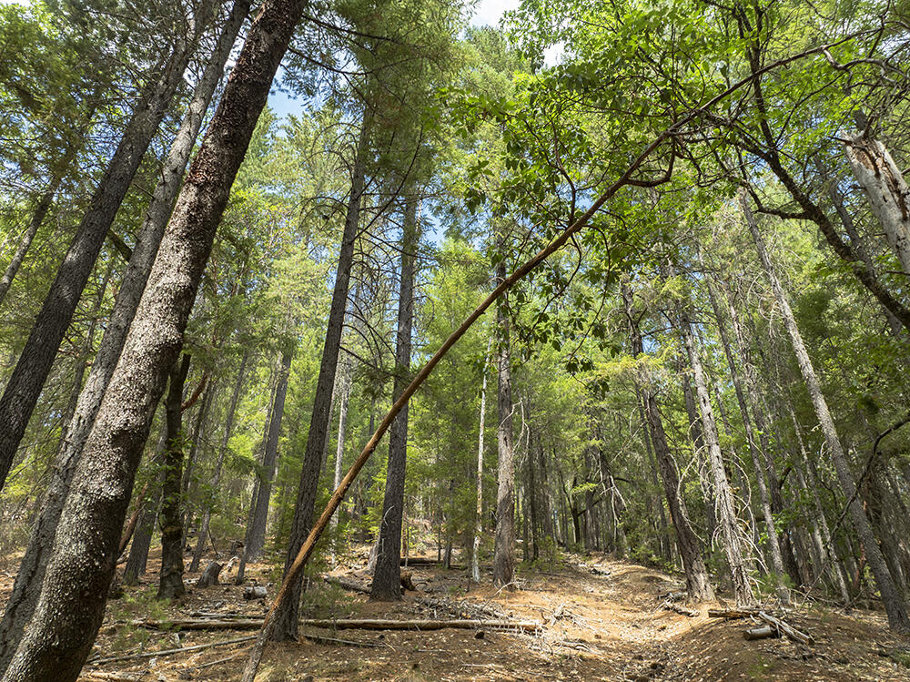 Thornbrook Subdivision - Land