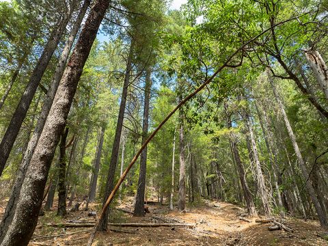 Tiny photo for 614 Thornbrook Drive, Merlin, OR 97532 (MLS # 220212207)