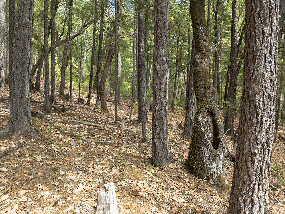 Thornbrook Subdivision - Land