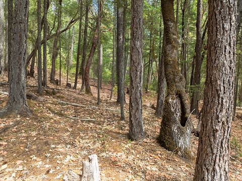 Tiny photo for 614 Thornbrook Drive, Merlin, OR 97532 (MLS # 220212207)