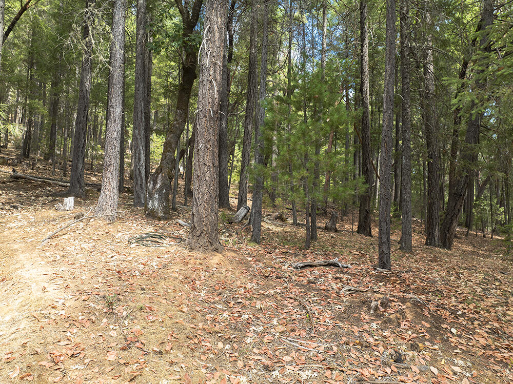 Thornbrook Subdivision - Land