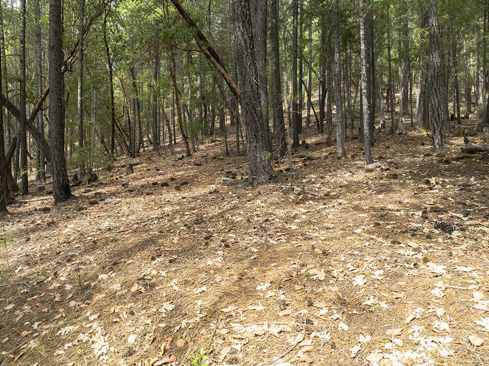 Thornbrook Subdivision - Land