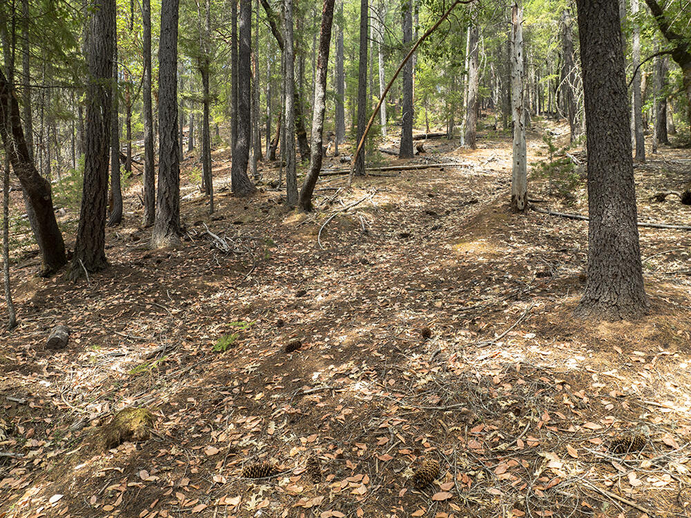 Thornbrook Subdivision - Land