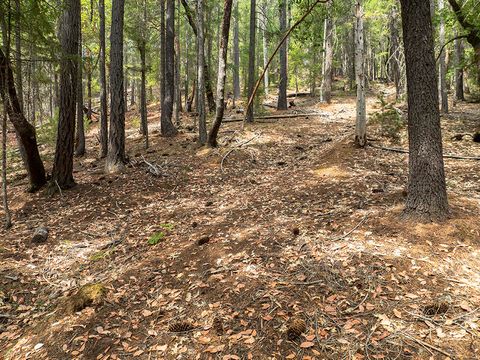 Tiny photo for 614 Thornbrook Drive, Merlin, OR 97532 (MLS # 220212207)