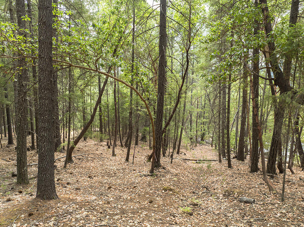 Thornbrook Subdivision - Land