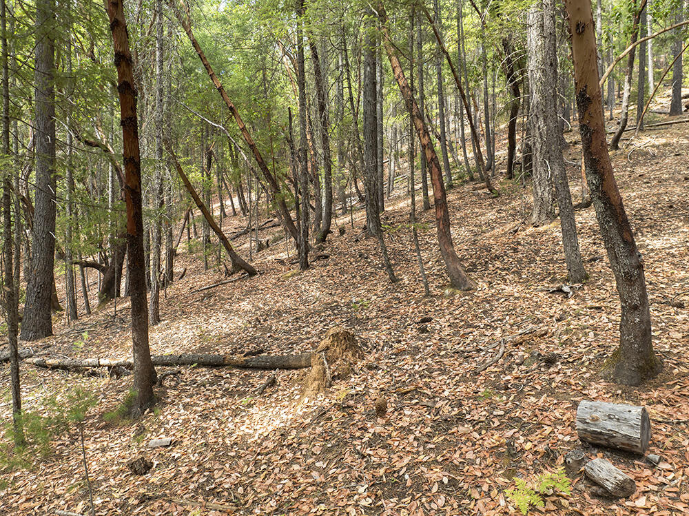 Thornbrook Subdivision - Land