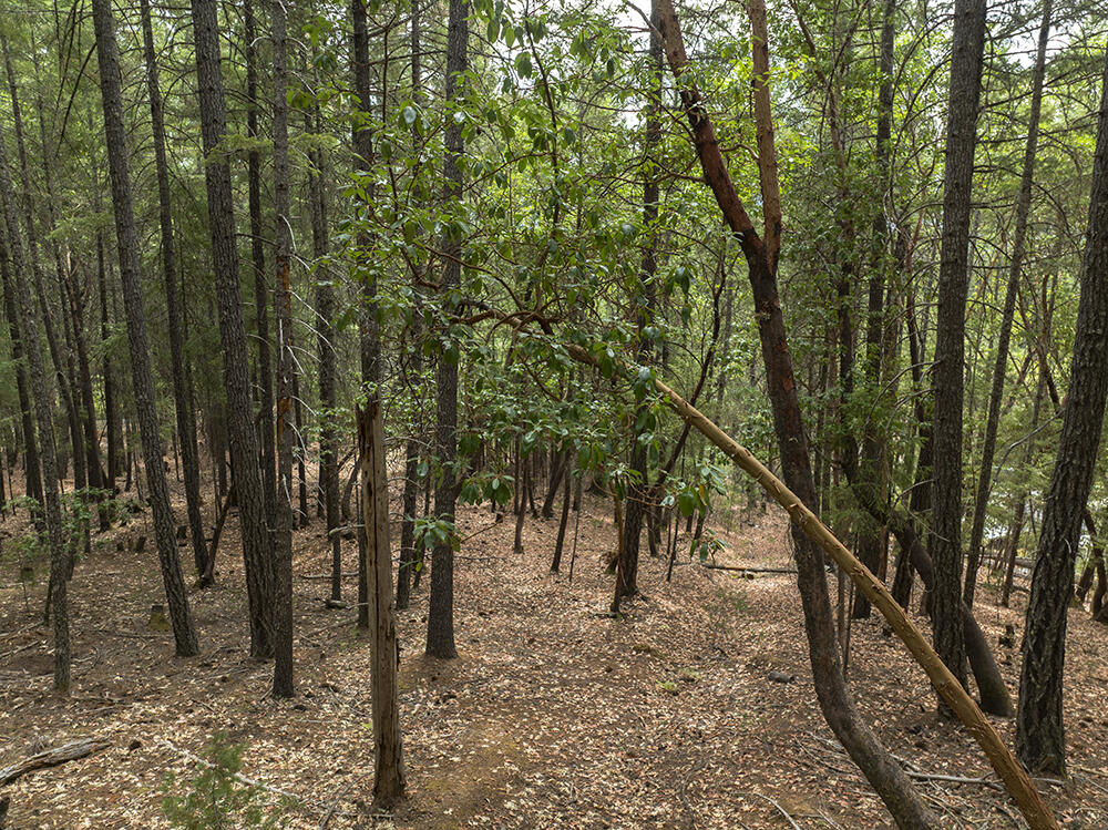 Thornbrook Subdivision - Land