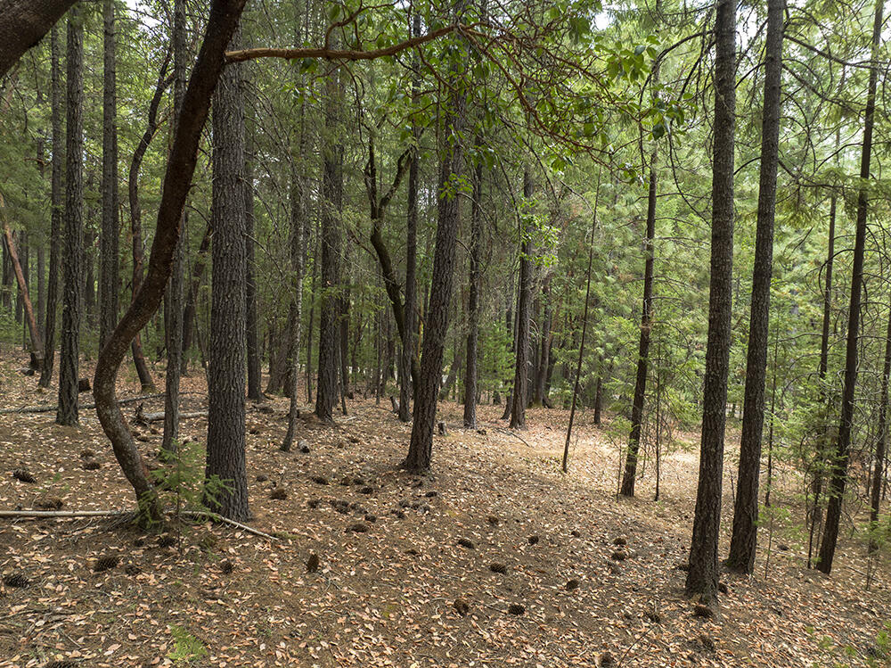 Thornbrook Subdivision - Land