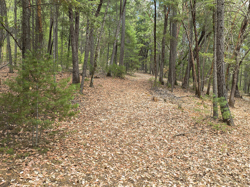 Thornbrook Subdivision - Land