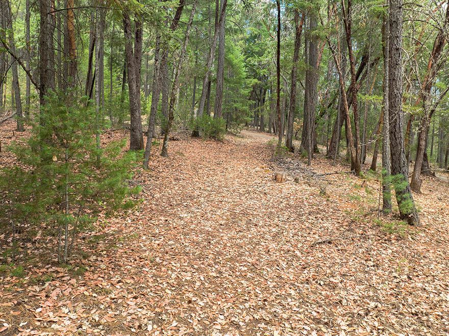 5.34 Acres of Beautiful Property about 10 Miles West of Grants Pass in the Desirable Thornbrook Subdivision! This is Very Pretty Land with Level to Gently Sloping Terrain and a Beautiful Mature Forest. This Property offers a Lovely Variety of Trees and some Attractive Open Spaces, with plenty of room for your New Home. A Well has been Drilled, and a Standard Septic Approval was obtained and  has since expired, but can likely be renewed. A Survey is on File, and Grid Power and Other Utilities are available adjacent to this Property. Thornbrook is a short Dead-End Road, so a New Home would be sited well back from any busy roads. Approach and Initial Access is in place. Some Stunning Views can had from the Property! This Parcel is Located just minutes from the Rogue River, Parks and Trails, and Miles of BLM and Forest Service Roads, offering Endless Recreational Opportunity on Public Lands! Come see this Lovely Parcel that is located in a Desirable Area of Quality Homes.