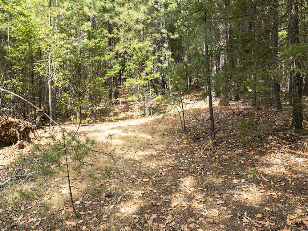 Thornbrook Subdivision - Land