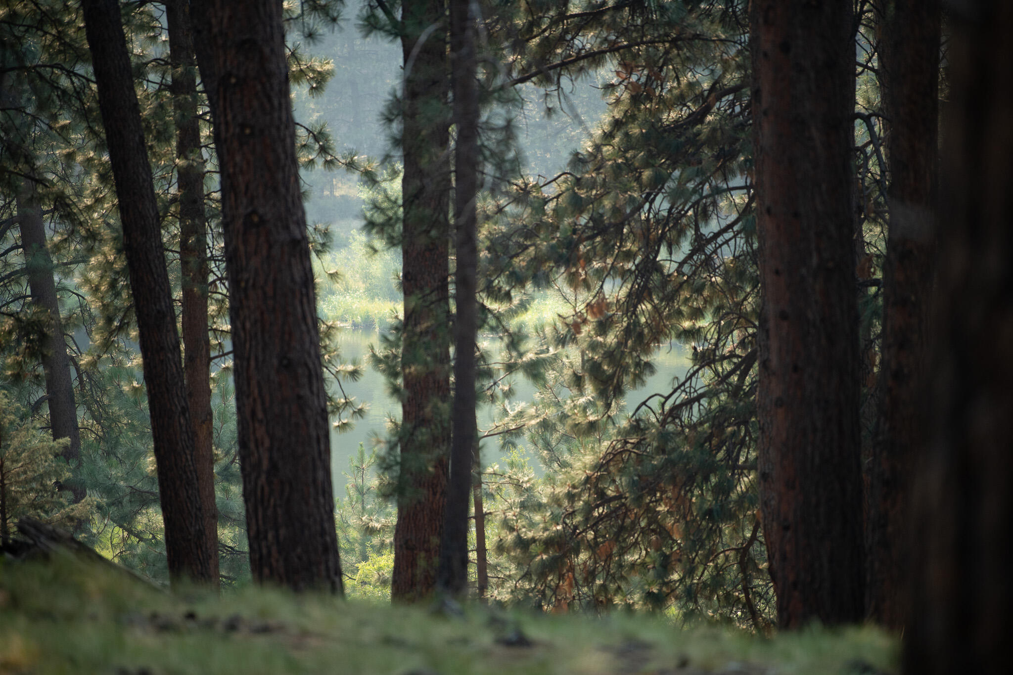 Deschutes RiverWoods - Land