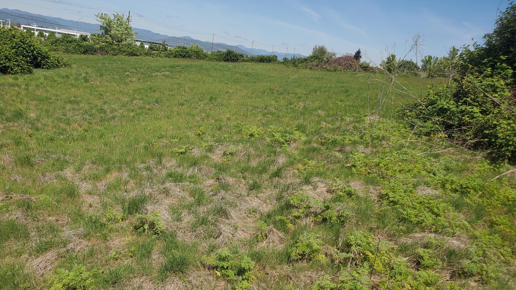 N/A - Commercial Sale